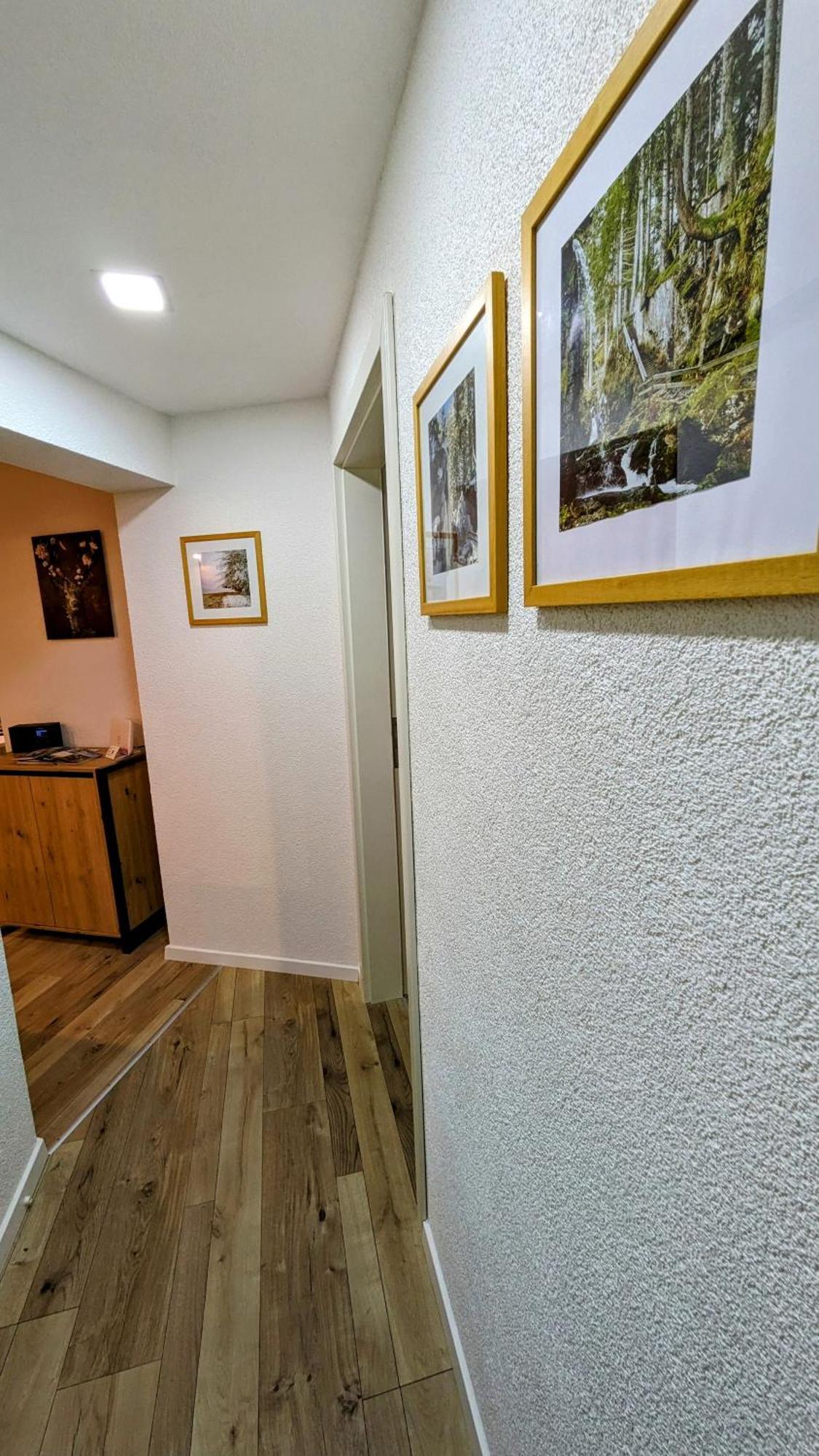 Ferienwohnung Albbruck/Albert Exteriér fotografie